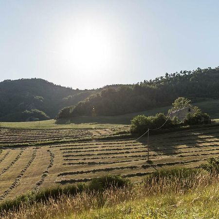 הוילה פרמילקוורה Agriturismo L'Antico Frutto מראה חיצוני תמונה