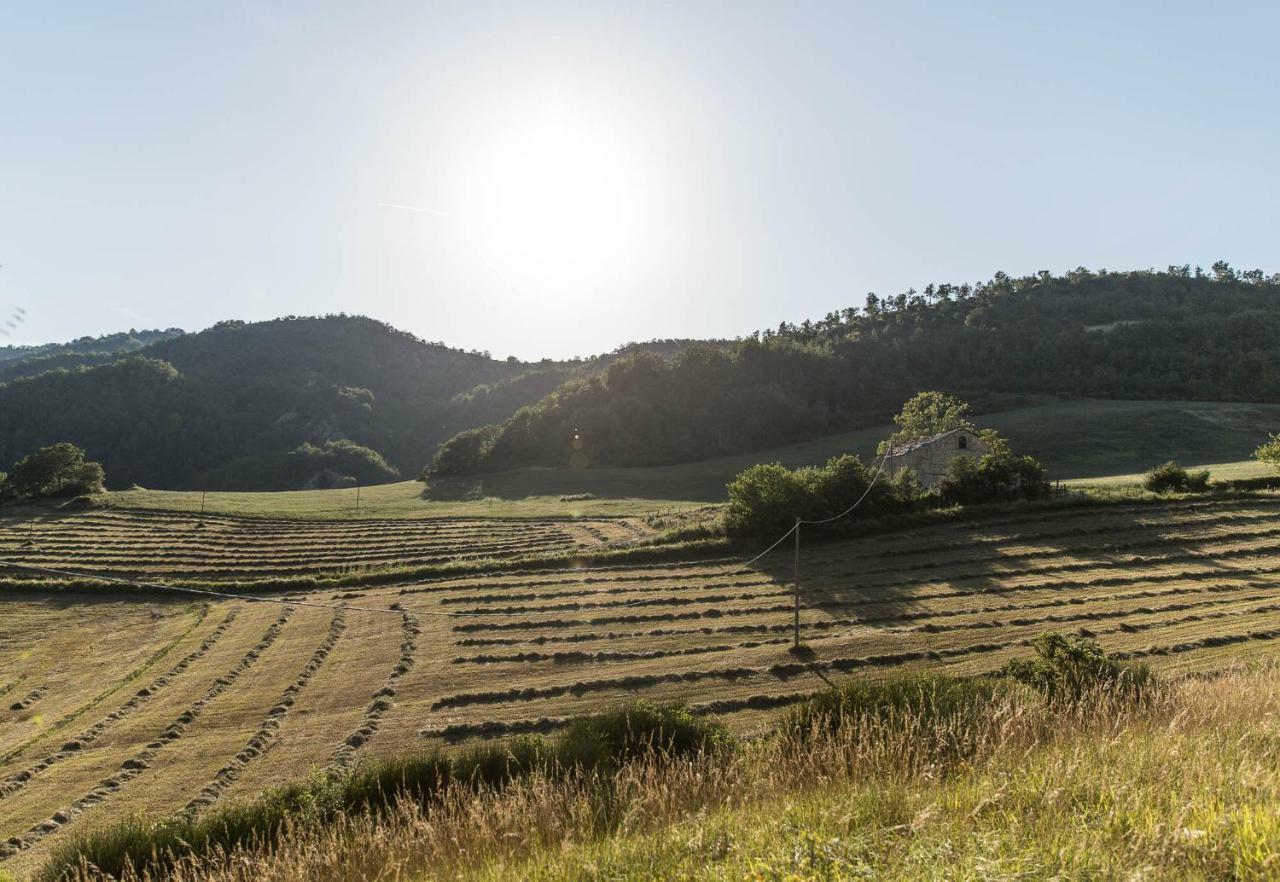 הוילה פרמילקוורה Agriturismo L'Antico Frutto מראה חיצוני תמונה