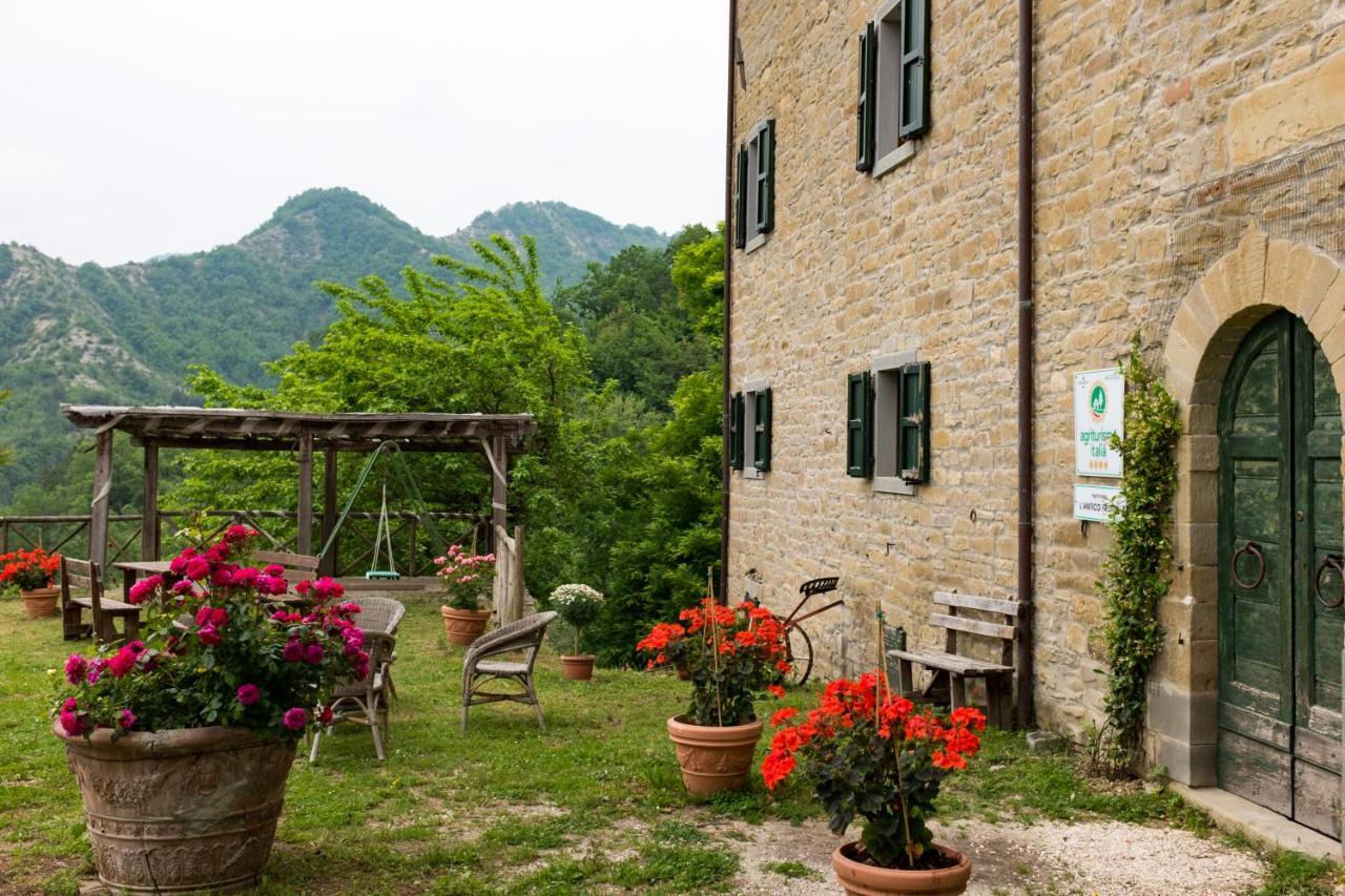 פרמילקוורה Agriturismo L'Antico Frutto מראה חיצוני תמונה